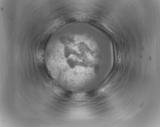 X0000088750671200706141729