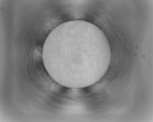 X0000088750672200706141730