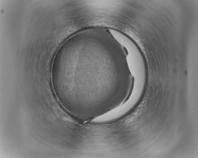 X0000088750673200706141729