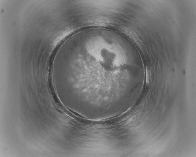 X0000088750675200706141729