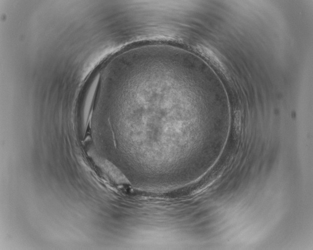 X0000088750676200706141729