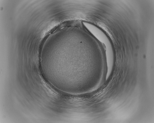 X0000088750677200706141729