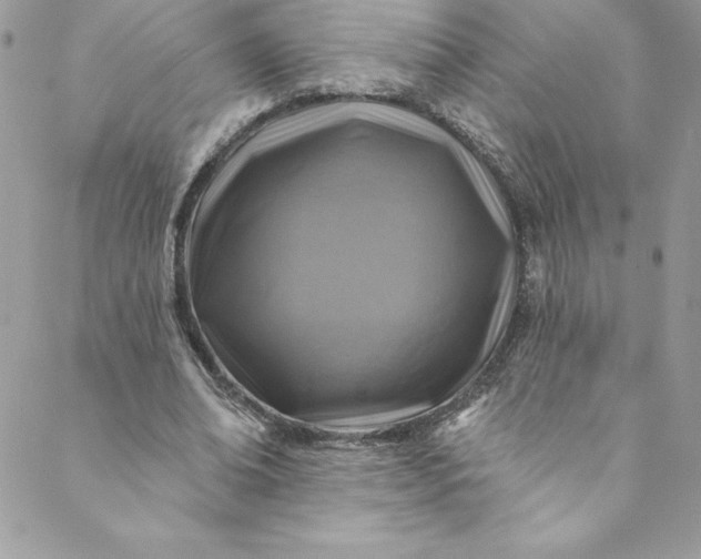 X0000088750678200706141729