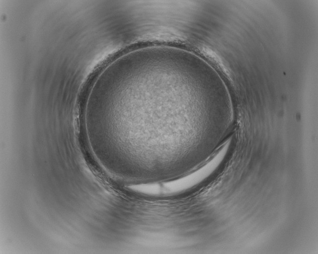 X0000088750680200706141729