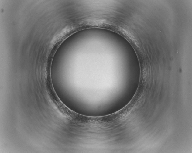 X0000088750682200706141729