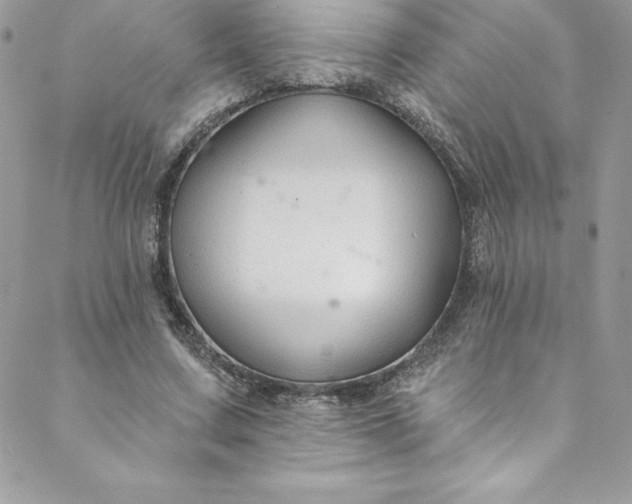 X0000088750683200706141729