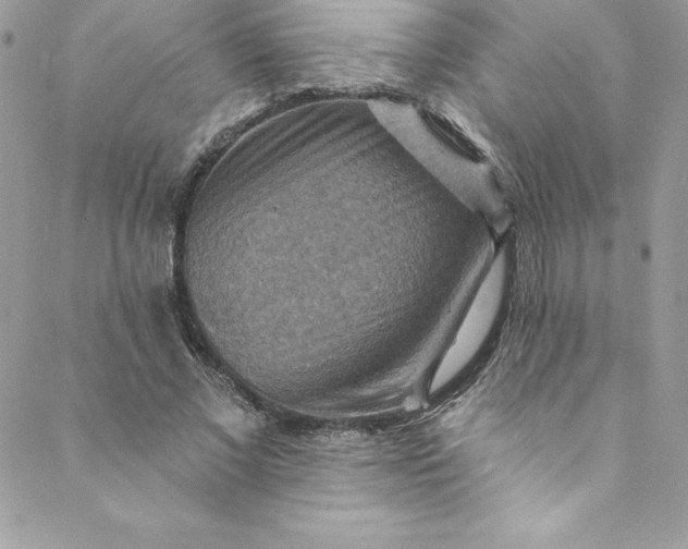 X0000088750685200706141729