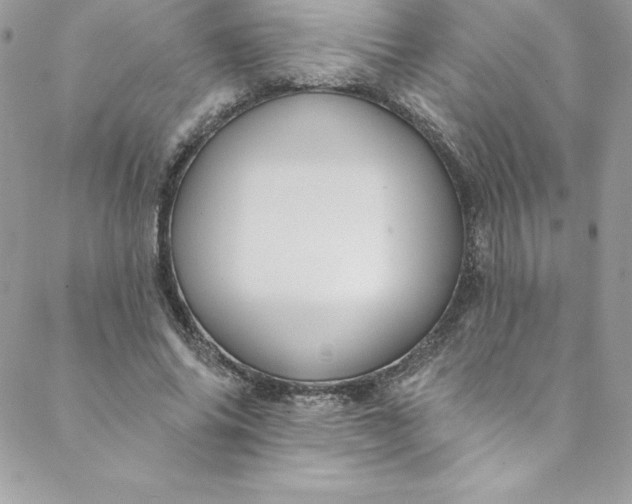 X0000088750686200706141729