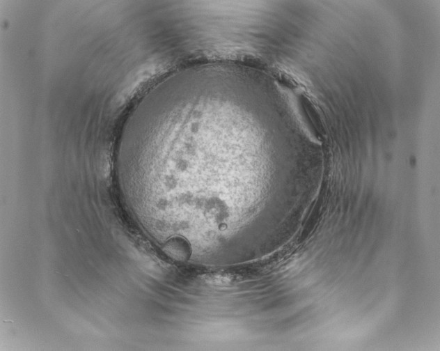 X0000088750687200706141728