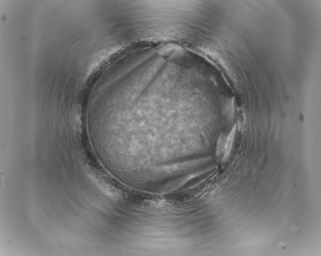 X0000088750688200706141728