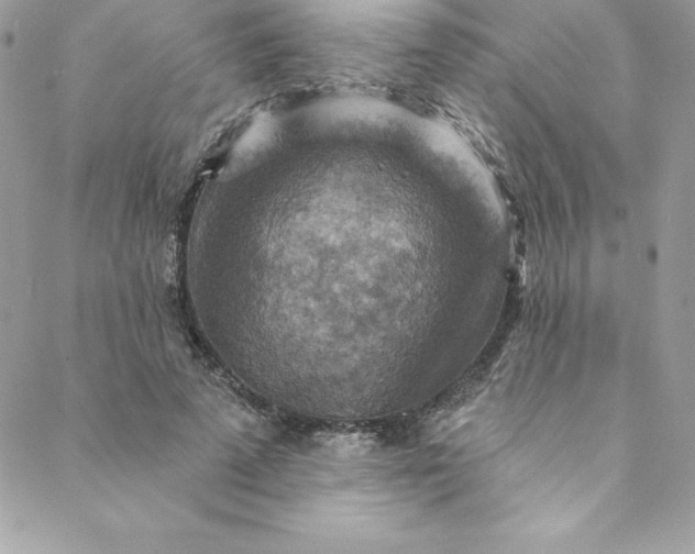 X0000088750689200706141728