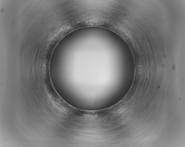 X0000088750690200706141728