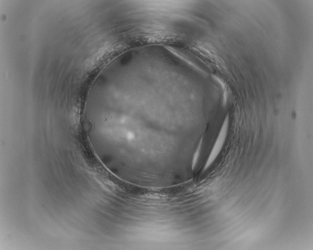 X0000088750691200706141728