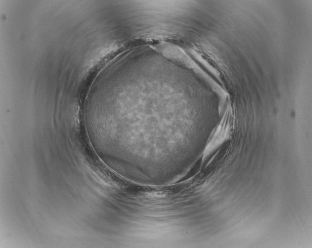 X0000088750692200706141728