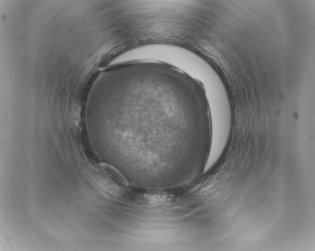 X0000088750693200706141728