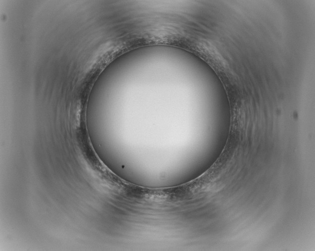 X0000088750694200706141728