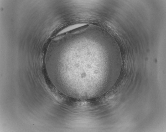 X0000088750695200706141728