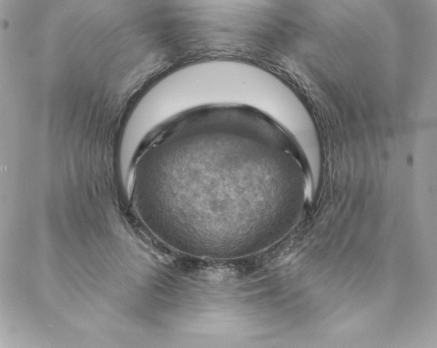 X0000088750696200706141728