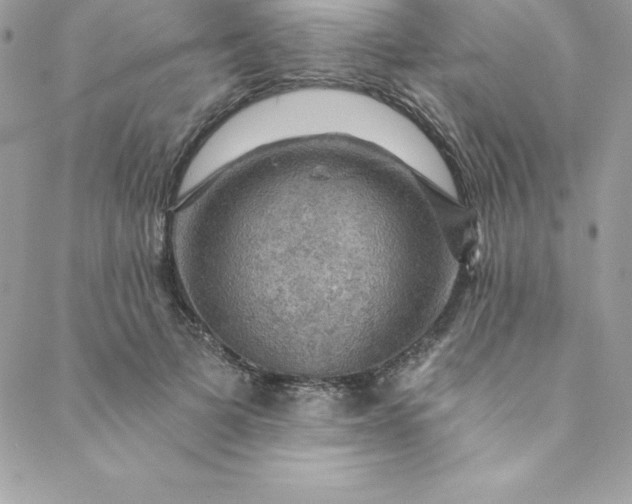 X0000088750697200706141728