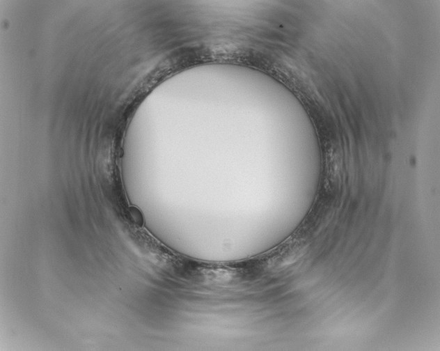 X0000088750698200706141728