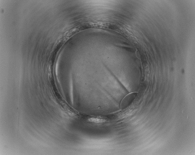 X0000088750699200706141728