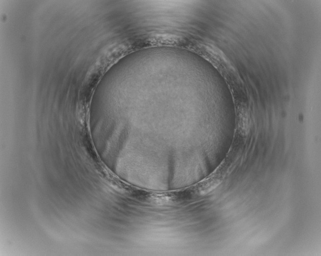 X0000088750701200706141728