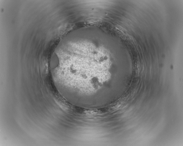 X0000088750703200706141728