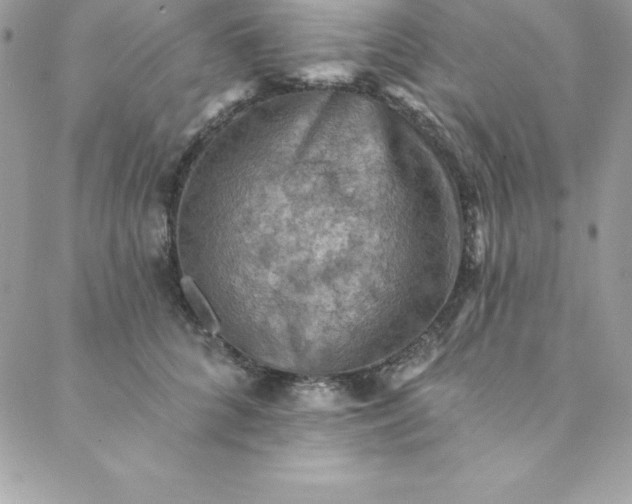 X0000088750704200706141728