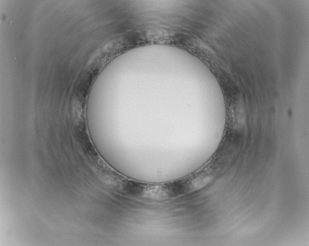 X0000088750705200706141728