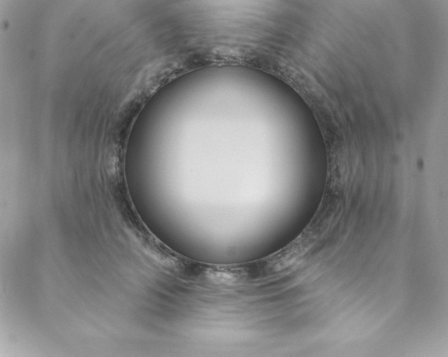 X0000088750706200706141728