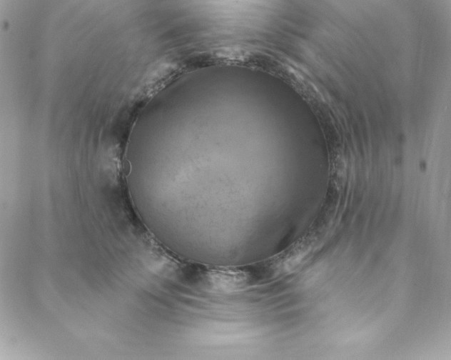 X0000088750707200706141728