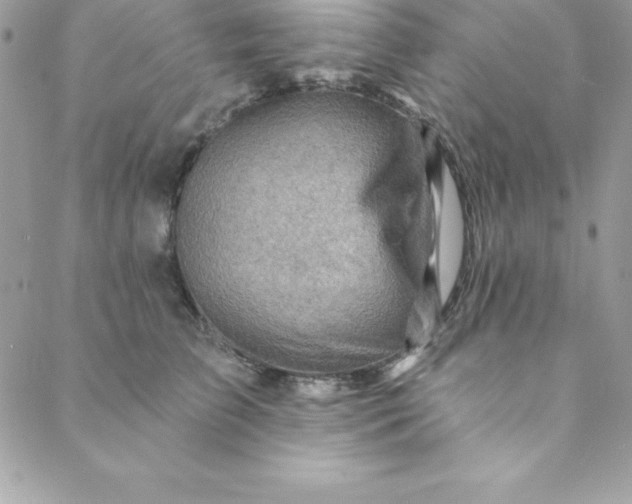 X0000088750709200706141728