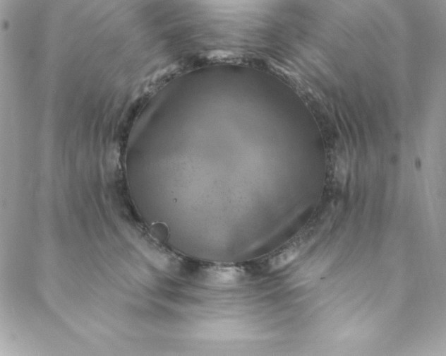 X0000088750711200706141728