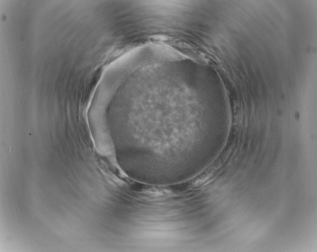 X0000088750712200706141728