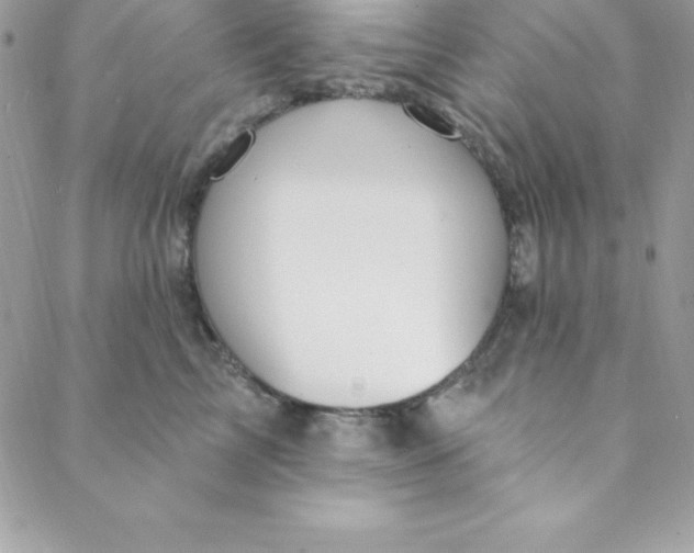 X0000088750713200706141728