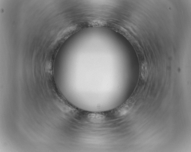 X0000088750714200706141728