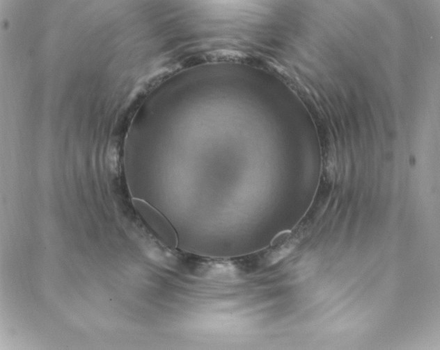 X0000088750715200706141728