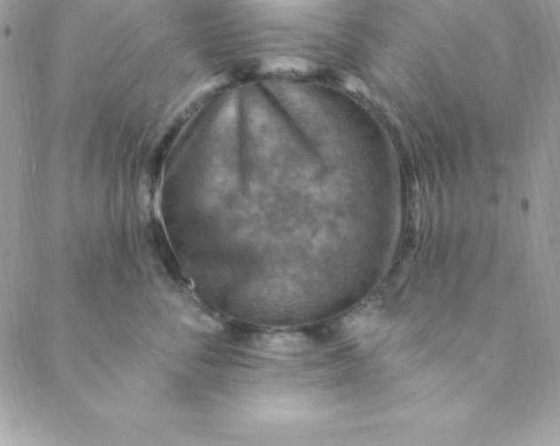 X0000088750716200706141728