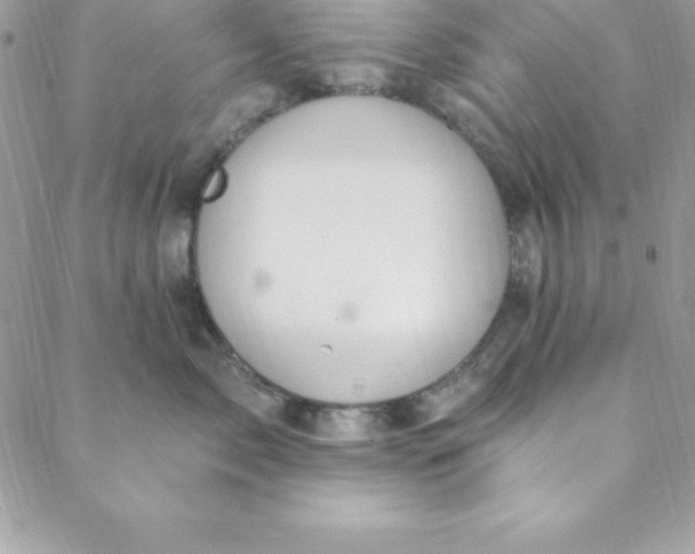 X0000088750717200706141728