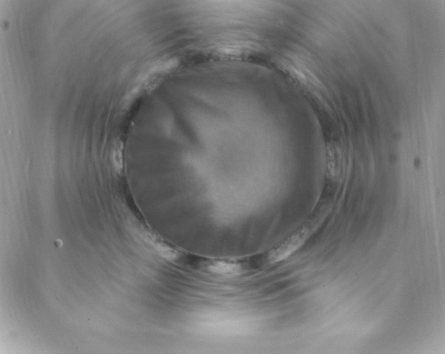 X0000088750718200706141728