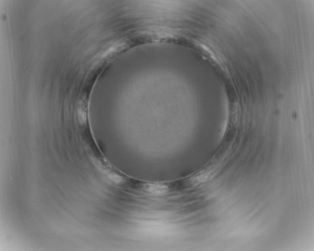 X0000088750719200706141728