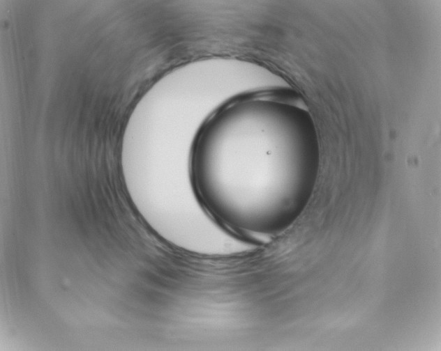 X0000088750720200706141728