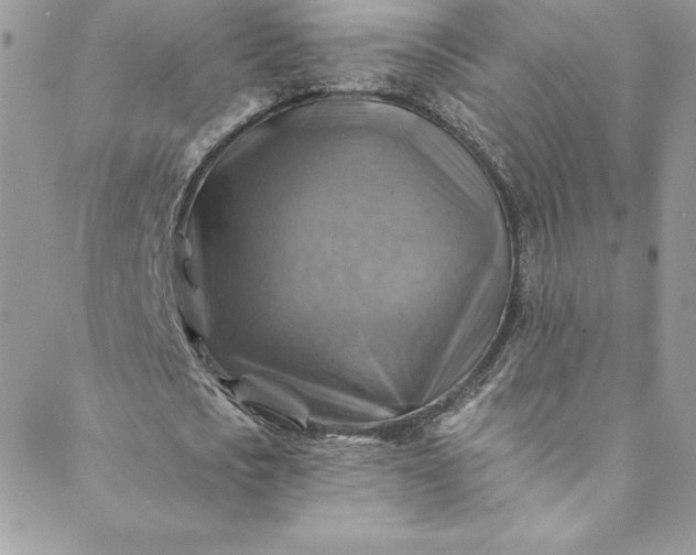 X0000088750721200706141727