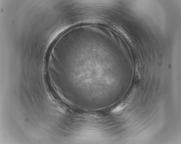 X0000088750724200706141727