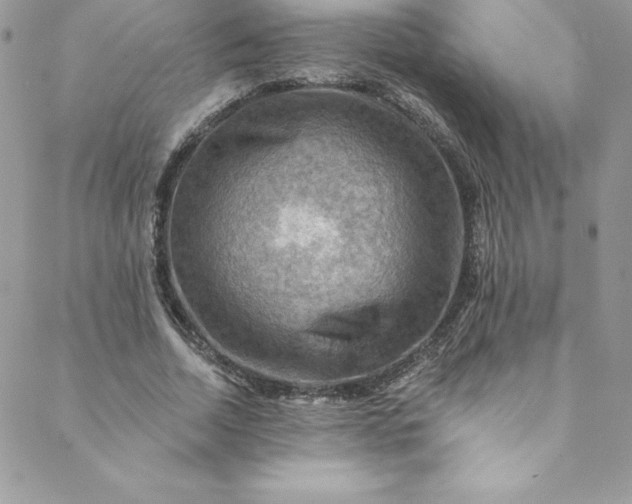 X0000088750730200706141727