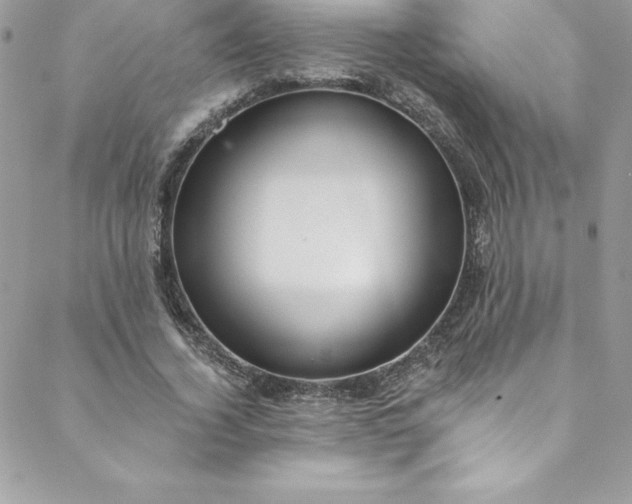 X0000088750732200706141727