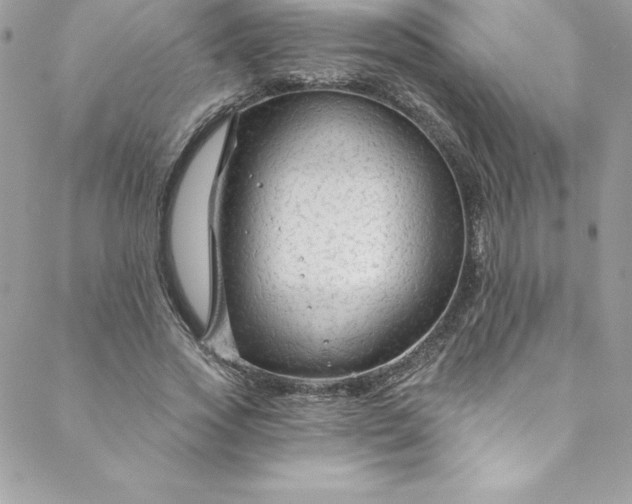 X0000088750733200706141727