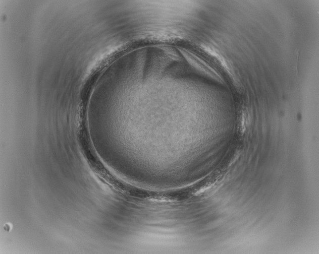 X0000088750736200706141727