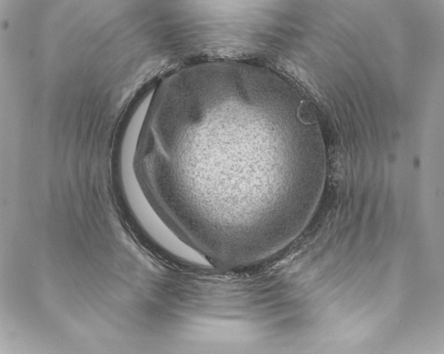 X0000088750738200706141727