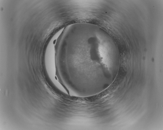 X0000088750742200706141728